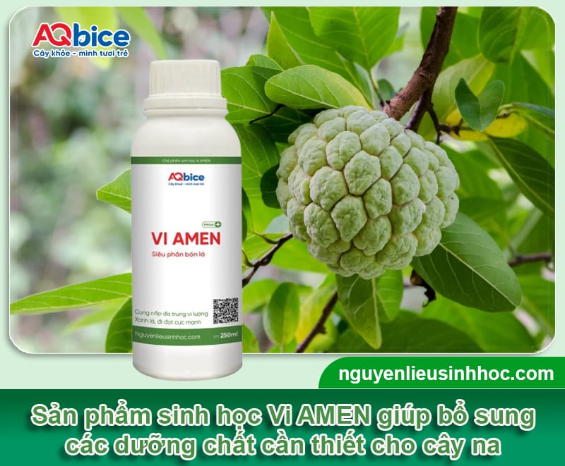 Cách cắt tỉa cành na: Bí quyết cho vụ mùa được bội thu 6 Cách cắt tỉa cành na: Bí quyết cho vụ mùa được bội thu