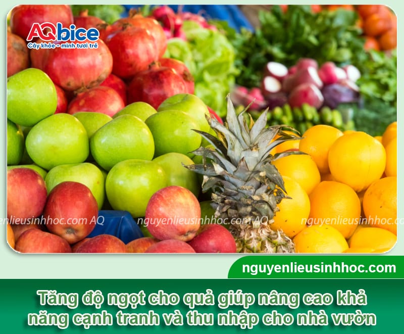 Cách làm tăng độ ngọt cho quả: Giải pháp giúp trái ngon, đậm vị