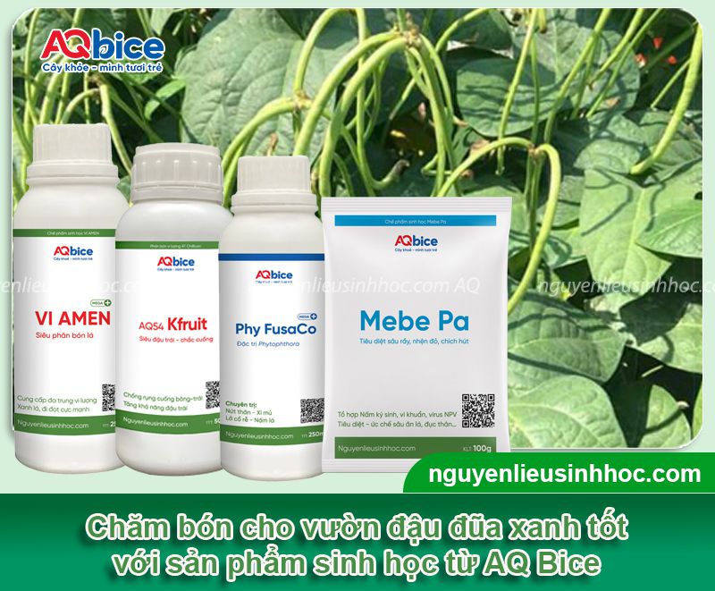 Cách ươm đậu đũa xanh tốt, nhanh ra quả, ít sâu bệnh 4 Cách ươm đậu đũa xanh tốt, nhanh ra quả, ít sâu bệnh