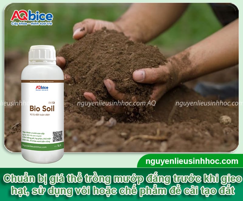 Hướng dẫn kỹ thuật trồng khổ qua lai F1 để dàn ra nhiều trái