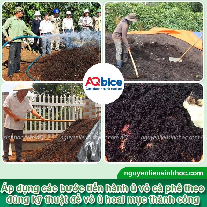 Cách ủ vỏ cà phê đúng kỹ thuật và một số lưu ý 4 Cách ủ vỏ cà phê đúng kỹ thuật và một số lưu ý khi thực hiện
