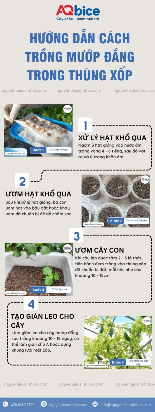Cách trồng cây khổ qua trong thùng xốp quả sai trĩu giàn 3 Cách trồng cây khổ qua trong thùng xốp quả sai trĩu giàn