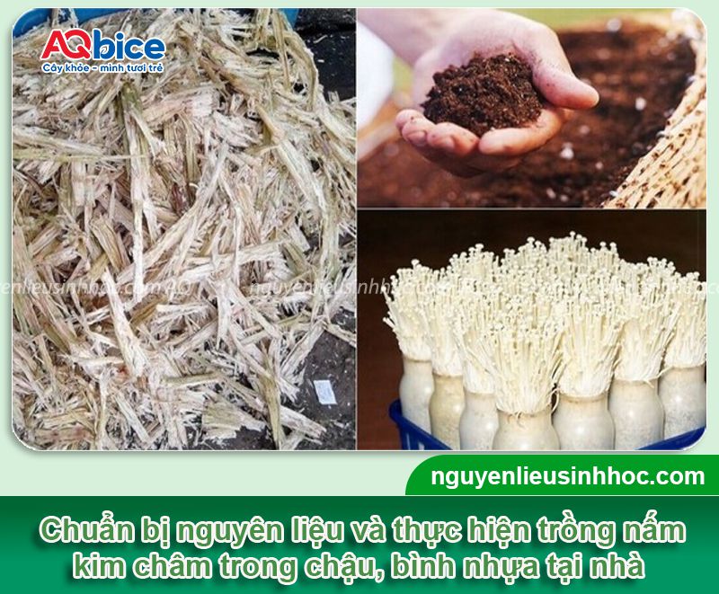 Top 2 cách trồng nấm kim châm bằng rễ đơn giản tại nhà 2 Top 2 cách trồng nấm kim châm bằng rễ đơn giản tại nhà