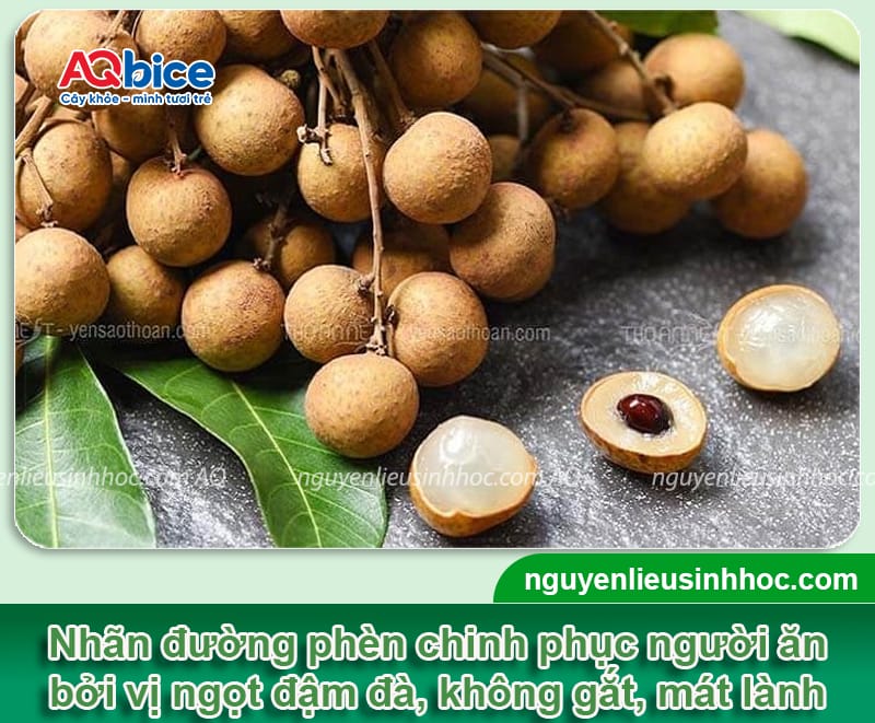 TOP 5 giống nhãn ngon nhất hiện nay tại thị trường Việt Nam