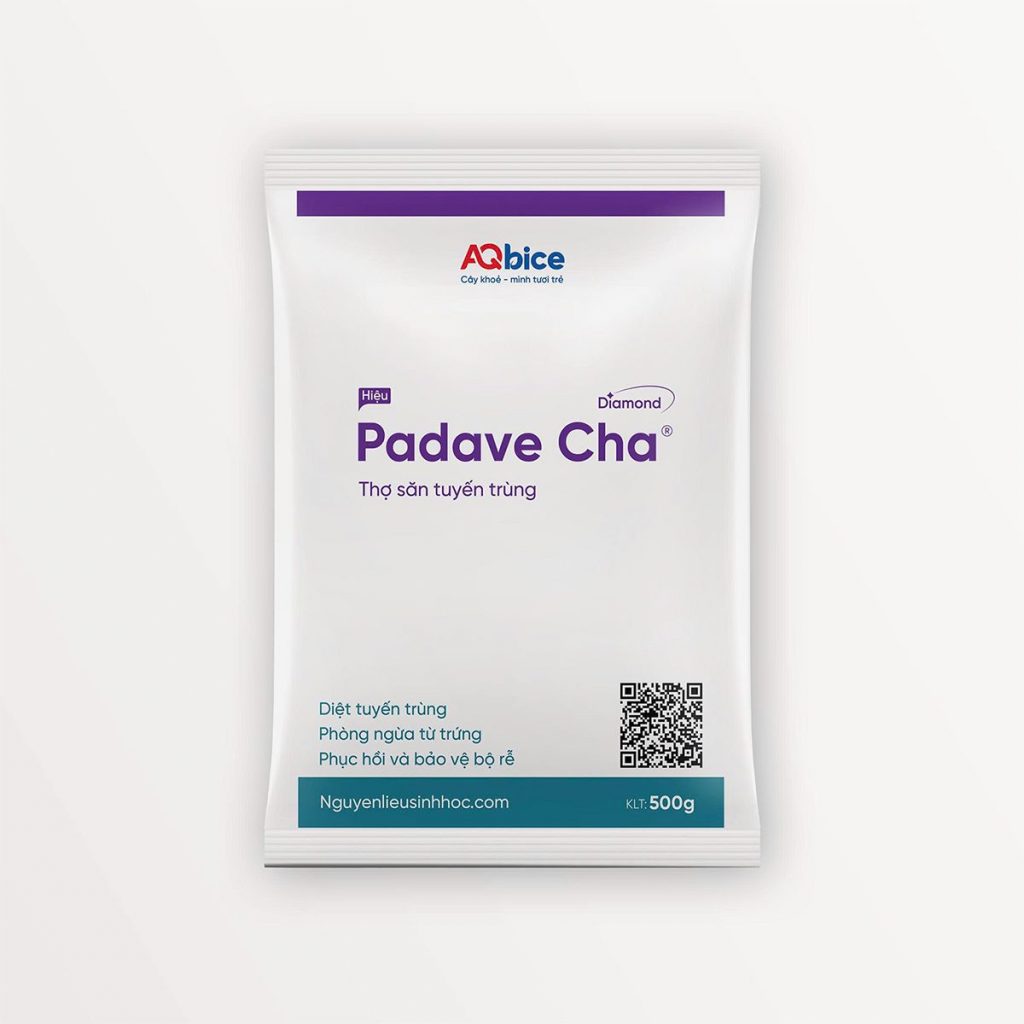 Thuốc trị tuyến trùng rễ Padave Cha tái tạo và bảo vệ bộ rễ