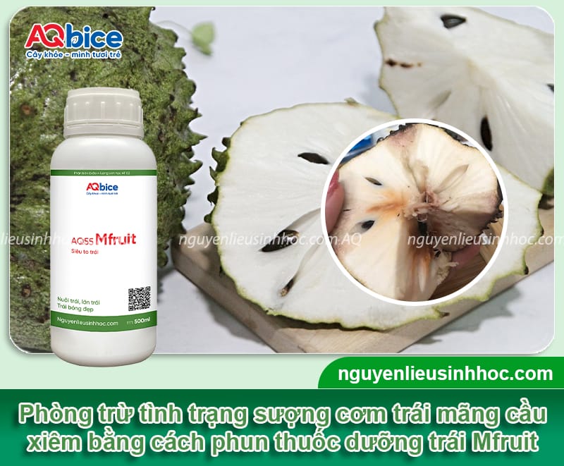 Vì sao mãng cầu xiêm bị sượng và Cách khắc phục 4 Vì sao mãng cầu xiêm bị sượng và cách khắc phục an toàn