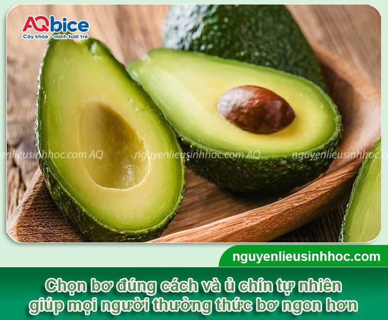 Cách làm trái bơ mau chín và bảo quản bơ tươi ngon