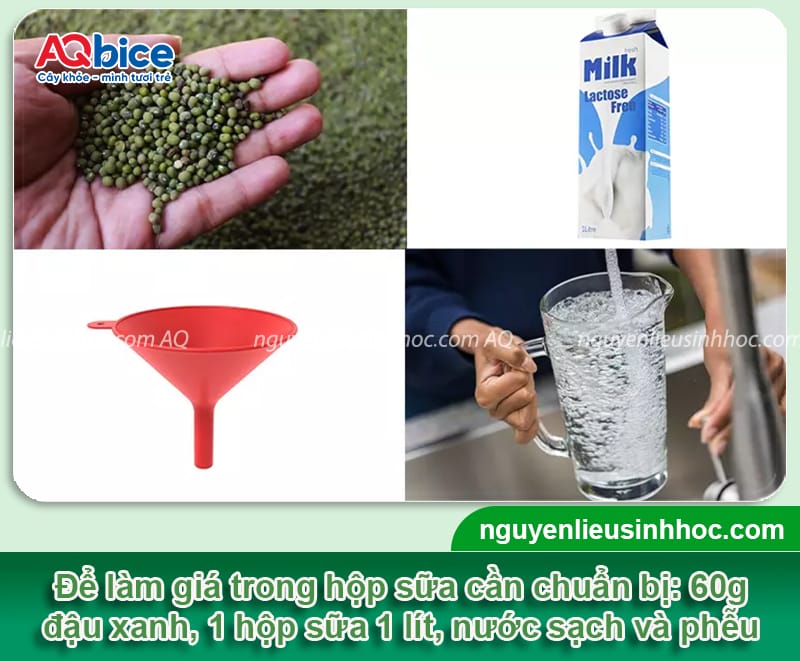 Cách làm giá bằng hộp sữa giúp giá giòn ngọt, mau thu hoạch 3 Cách làm giá bằng hộp sữa giúp giá giòn ngọt, mau thu hoạch