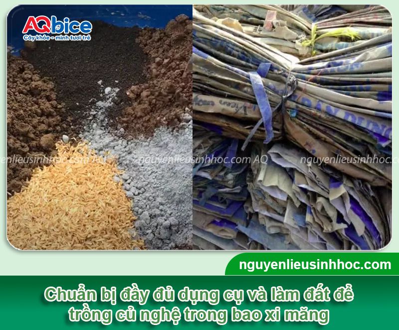 Kỹ thuật trồng nghệ trong bao đơn giản, dễ thực hiện tại nhà 2 Kỹ thuật trồng nghệ trong bao chi tiết đơn giản tại nhà