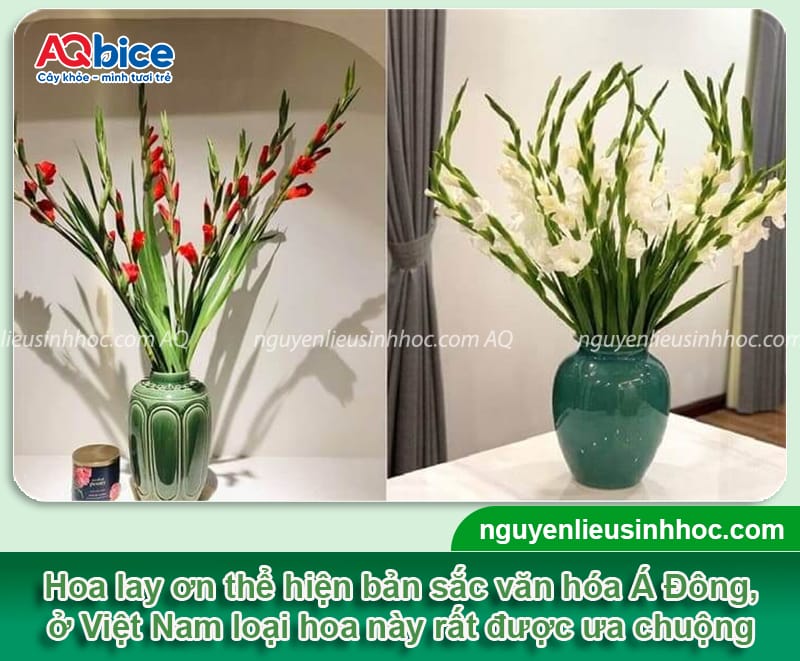 Gợi ý các loại hoa cắm Tết đẹp và ý nghĩa mang đến tài lộc 4 Gợi ý các loại hoa cắm Tết đẹp và ý nghĩa mang đến tài lộc