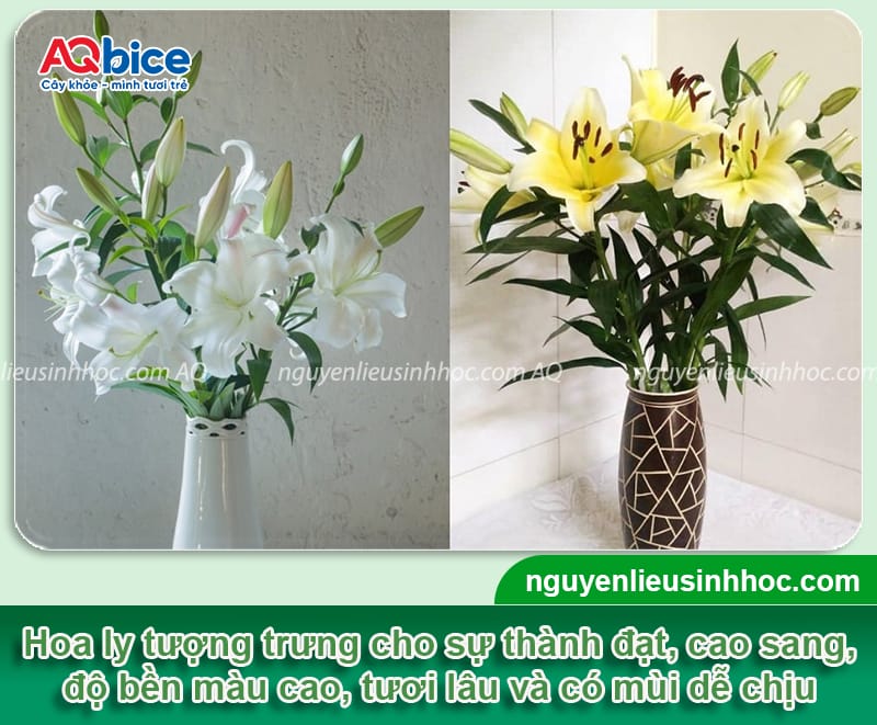 Gợi ý các loại hoa cắm Tết đẹp và ý nghĩa mang đến tài lộc 8 Gợi ý các loại hoa cắm Tết đẹp và ý nghĩa mang đến tài lộc