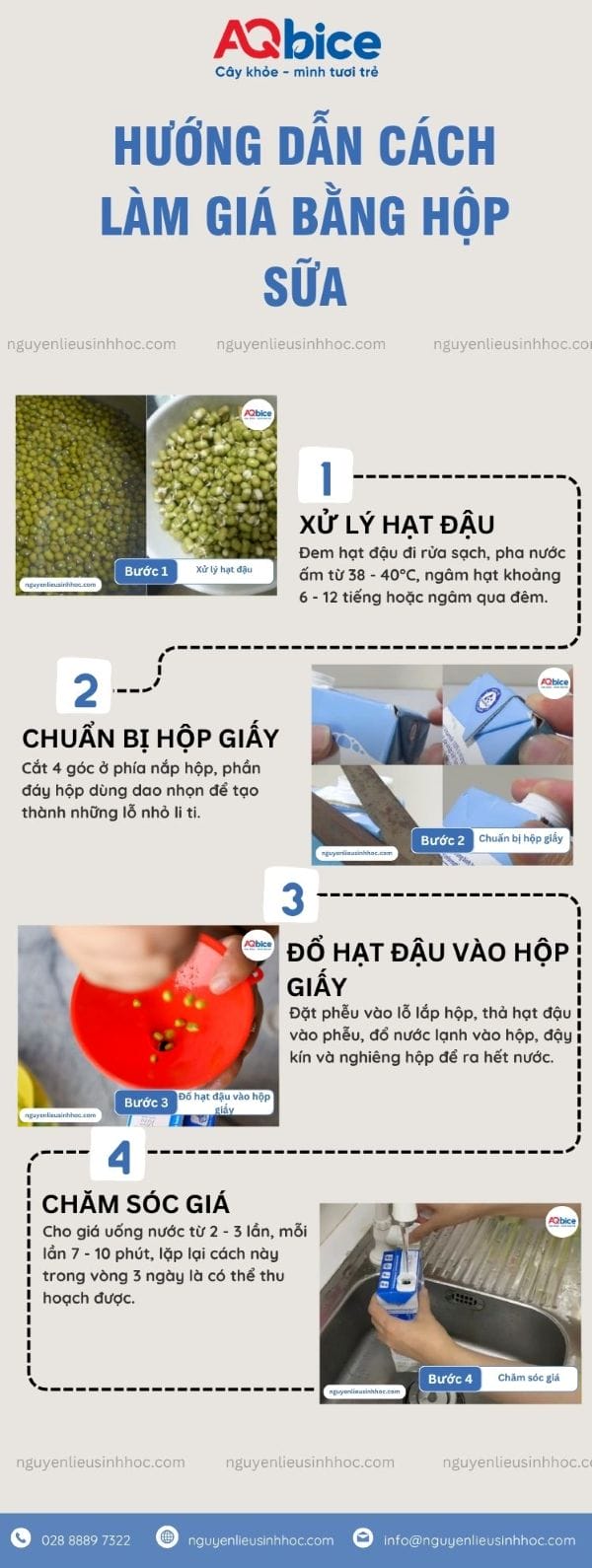 Cách làm giá bằng hộp sữa giúp giá giòn ngọt, mau thu hoạch 4 Cách làm giá bằng hộp sữa giúp giá giòn ngọt, mau thu hoạch