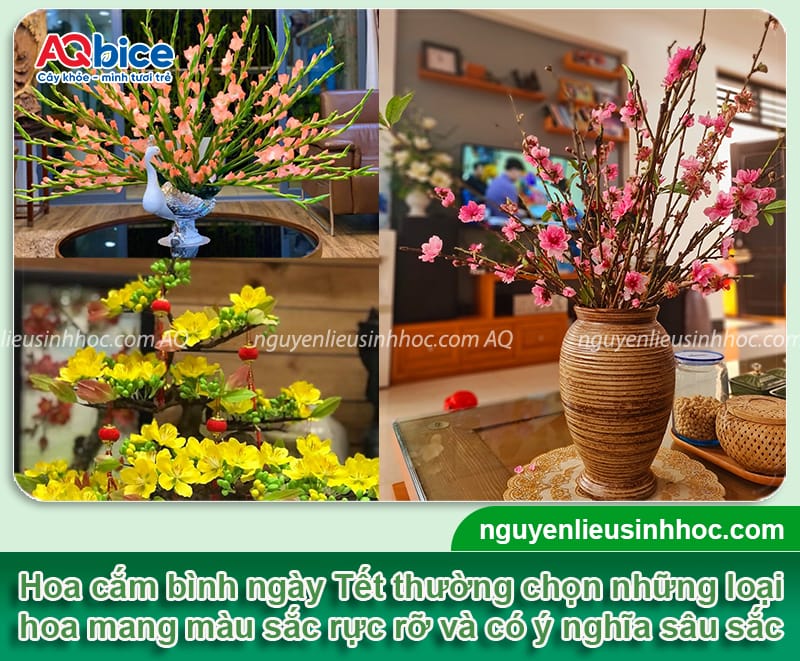 Gợi ý các loại hoa cắm Tết đẹp và ý nghĩa mang đến tài lộc