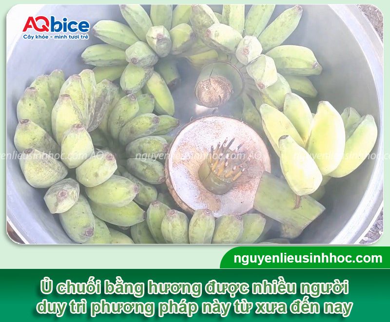 TOP 4 cách ủ chuối chín vàng đẹp đơn giản ngay tại nhà