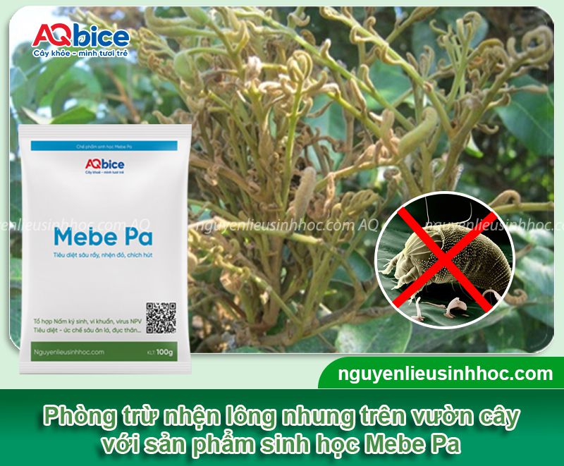 Thuốc đặc trị nhện lông nhung sinh học an toàn Mebe Pa
