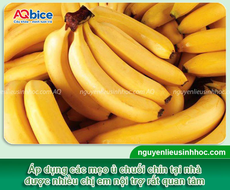 TOP 4 cách ủ chuối chín vàng đẹp đơn giản ngay tại nhà