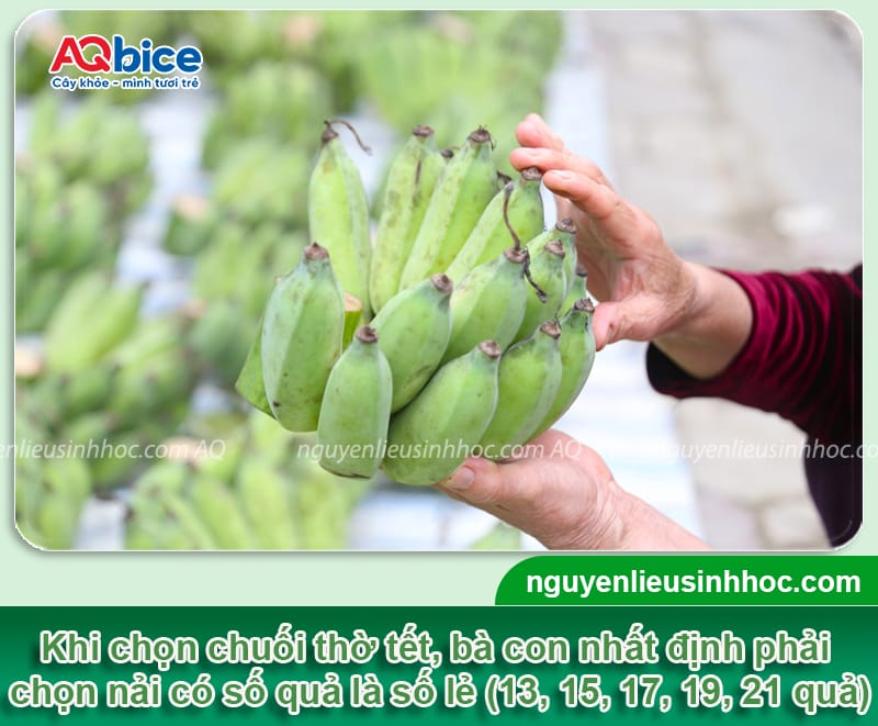 Chuối thờ tết bao nhiêu quả thì đẹp? Cách chọn chuối chưng Tết