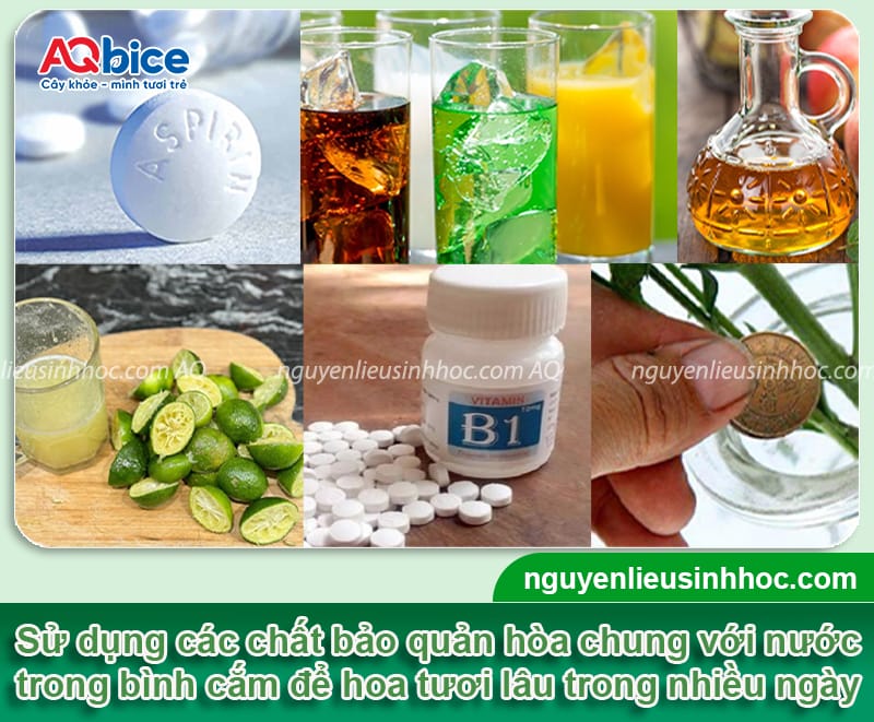 Cách giữ hoa tươi lâu trong bình vào dịp lễ, Tết quan trọng 5 Cách giữ hoa tươi lâu trong bình vào dịp lễ, Tết quan trọng