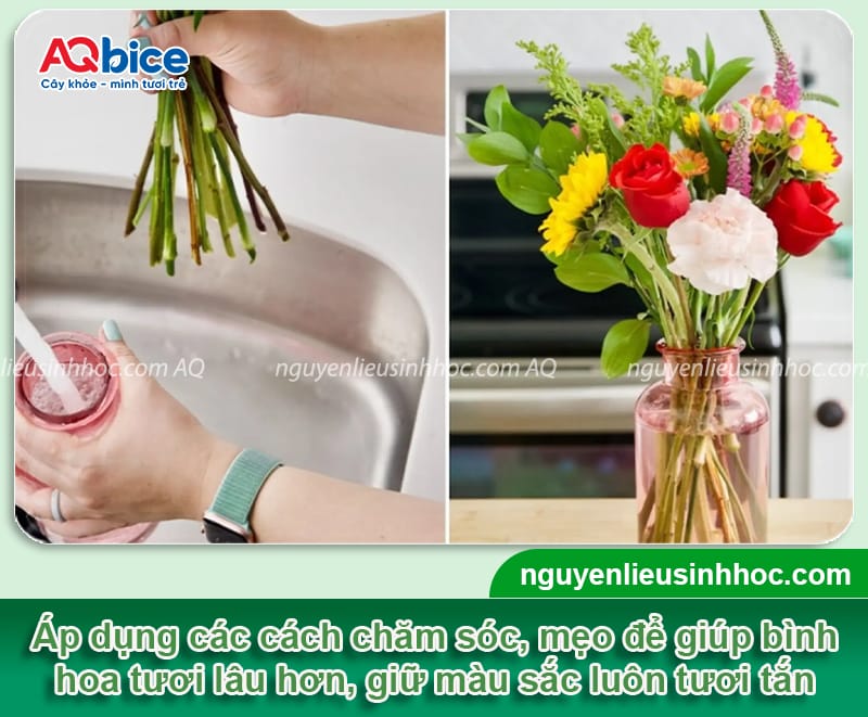 Cách giữ hoa tươi lâu trong bình vào dịp lễ, Tết quan trọng