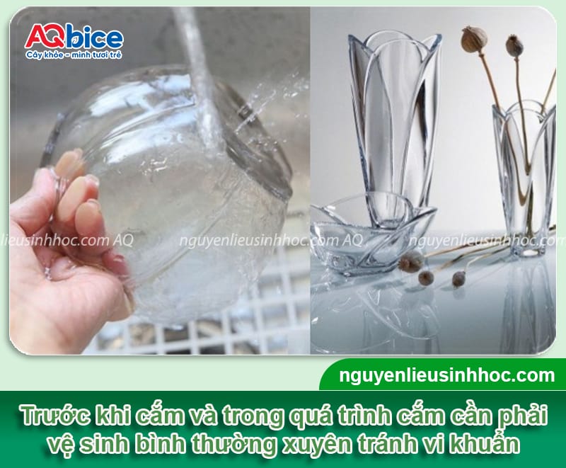Cách giữ hoa tươi lâu trong bình vào dịp lễ, Tết quan trọng 4 Cách giữ hoa tươi lâu trong bình vào dịp lễ, Tết quan trọng