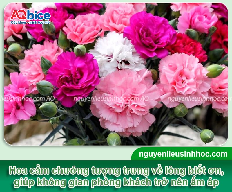 Hoa cắm phòng khách ngày Tết sang trọng, hút tài lộc đầu năm