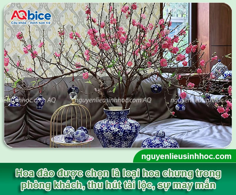 Hoa cắm phòng khách ngày Tết sang trọng, hút tài lộc đầu năm