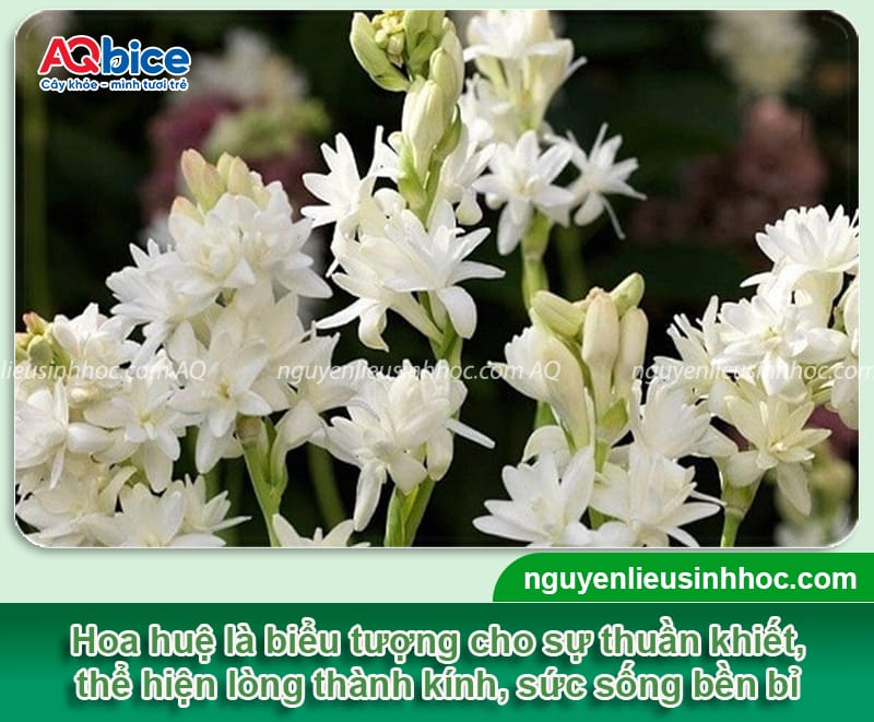 Hoa cắm phòng khách ngày Tết sang trọng, hút tài lộc đầu năm