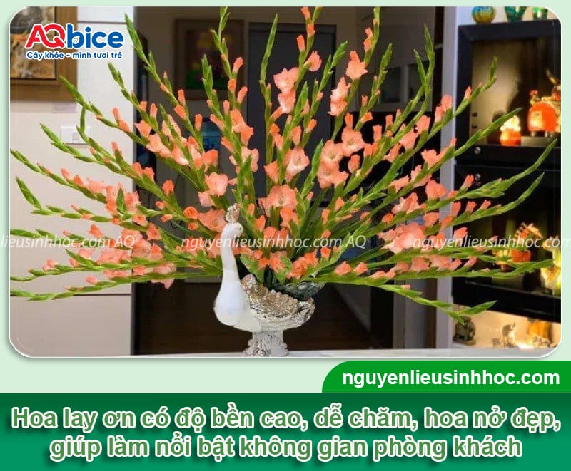 Hoa cắm phòng khách ngày Tết sang trọng, hút tài lộc đầu năm