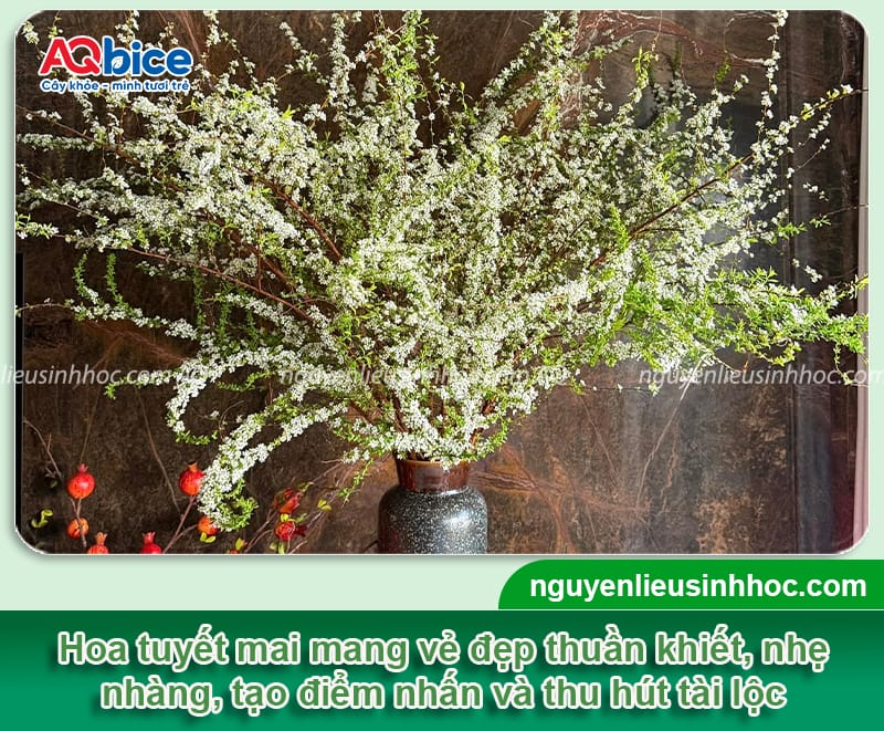 Hoa cắm phòng khách ngày Tết sang trọng, hút tài lộc đầu năm