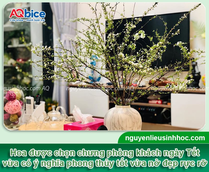 Hoa cắm phòng khách ngày Tết sang trọng, hút tài lộc đầu năm