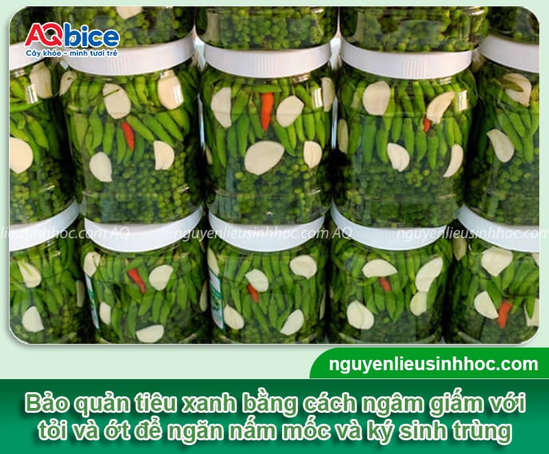Cách bảo quản tiêu xanh lâu hỏng, hương vị còn nguyên