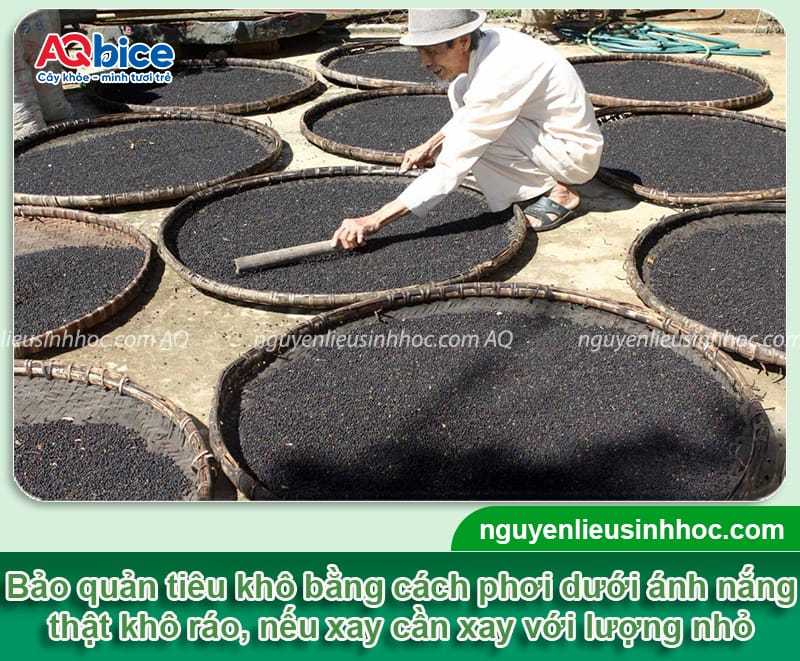 Cách bảo quản tiêu xanh lâu hỏng, hương vị còn nguyên