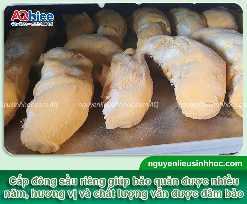 Cách bảo quản sầu riêng giữ trọn hương vị và chất lượng
