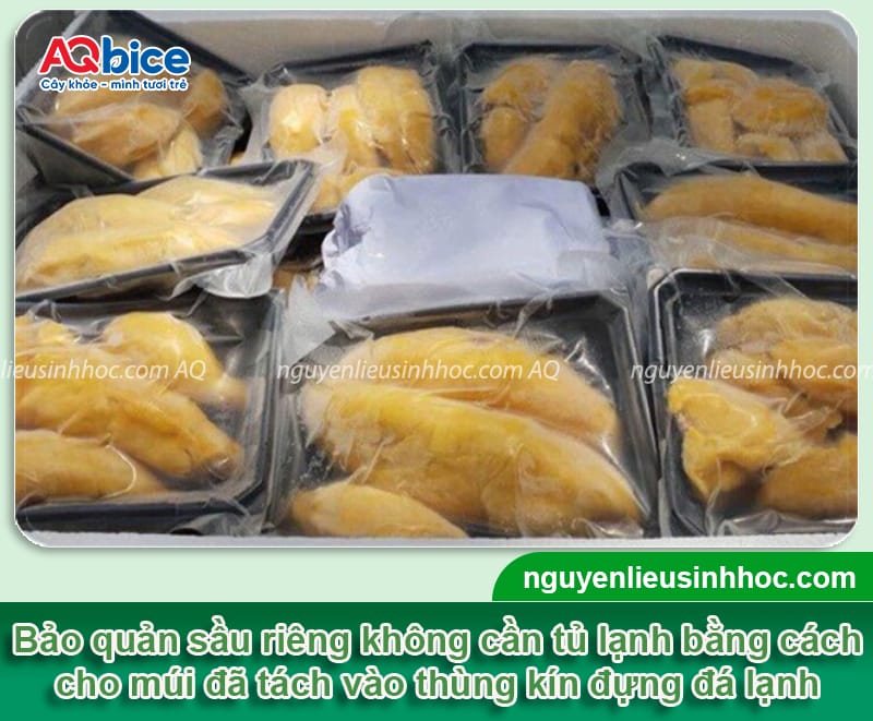 Cách bảo quản sầu riêng giữ trọn hương vị và chất lượng