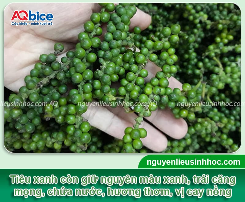 Cách bảo quản tiêu xanh lâu hỏng, hương vị còn nguyên