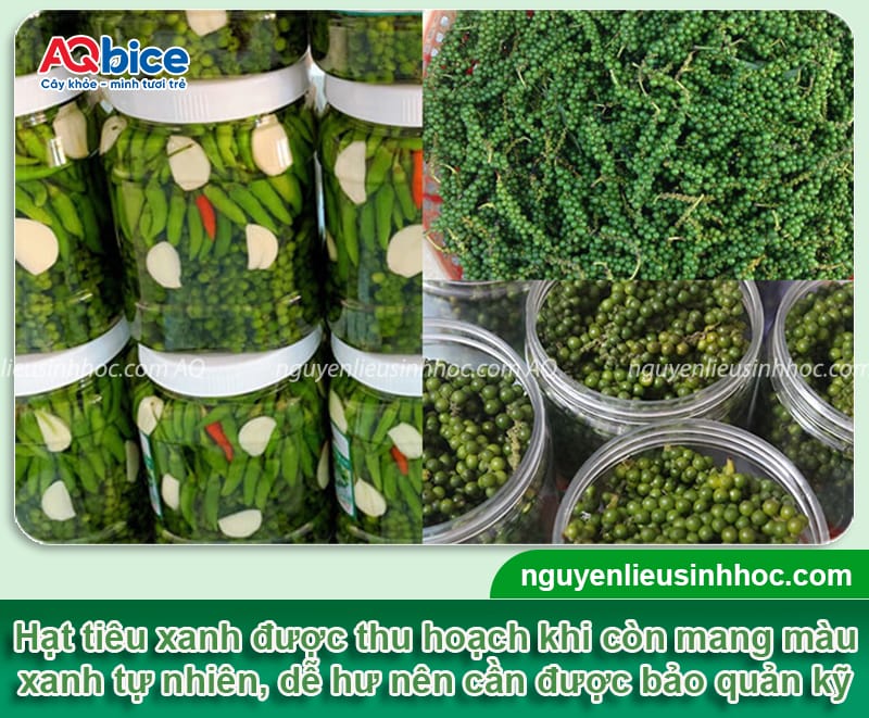 Cách bảo quản tiêu xanh lâu hỏng, hương vị còn nguyên