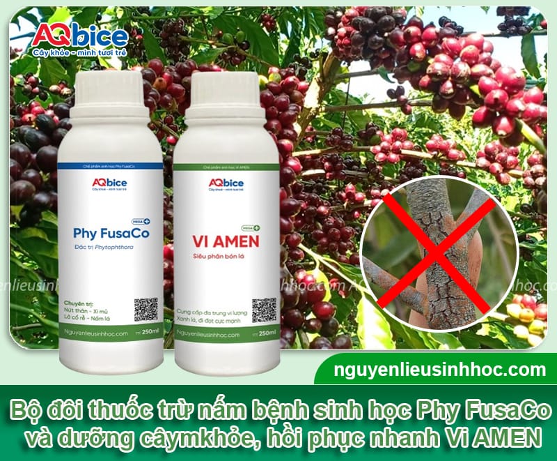 Thuốc trừ nấm bệnh sinh học giúp cây sạch bệnh, phục hồi tốt