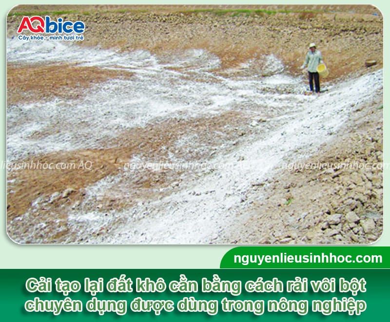 Cách cải tạo đất khô cằn lâu năm, nâng cao độ phì nhiêu đất
