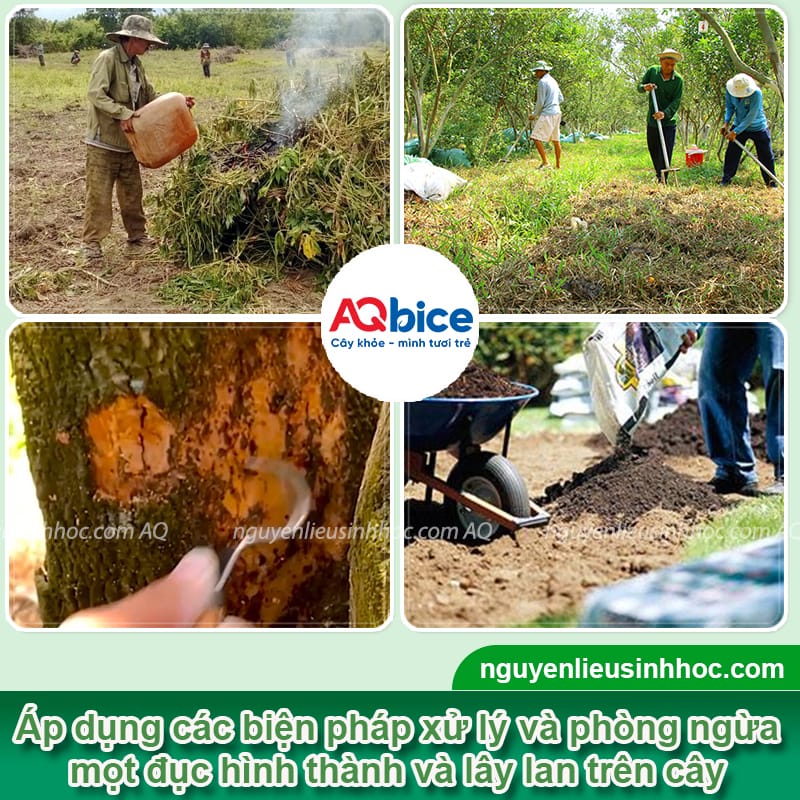 Thuốc đặc trị mọt đục cành: Giải pháp hiệu quả cho cây trồng