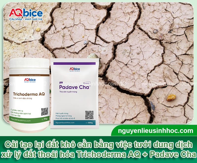 Cách cải tạo đất khô cằn lâu năm, nâng cao độ phì nhiêu đất