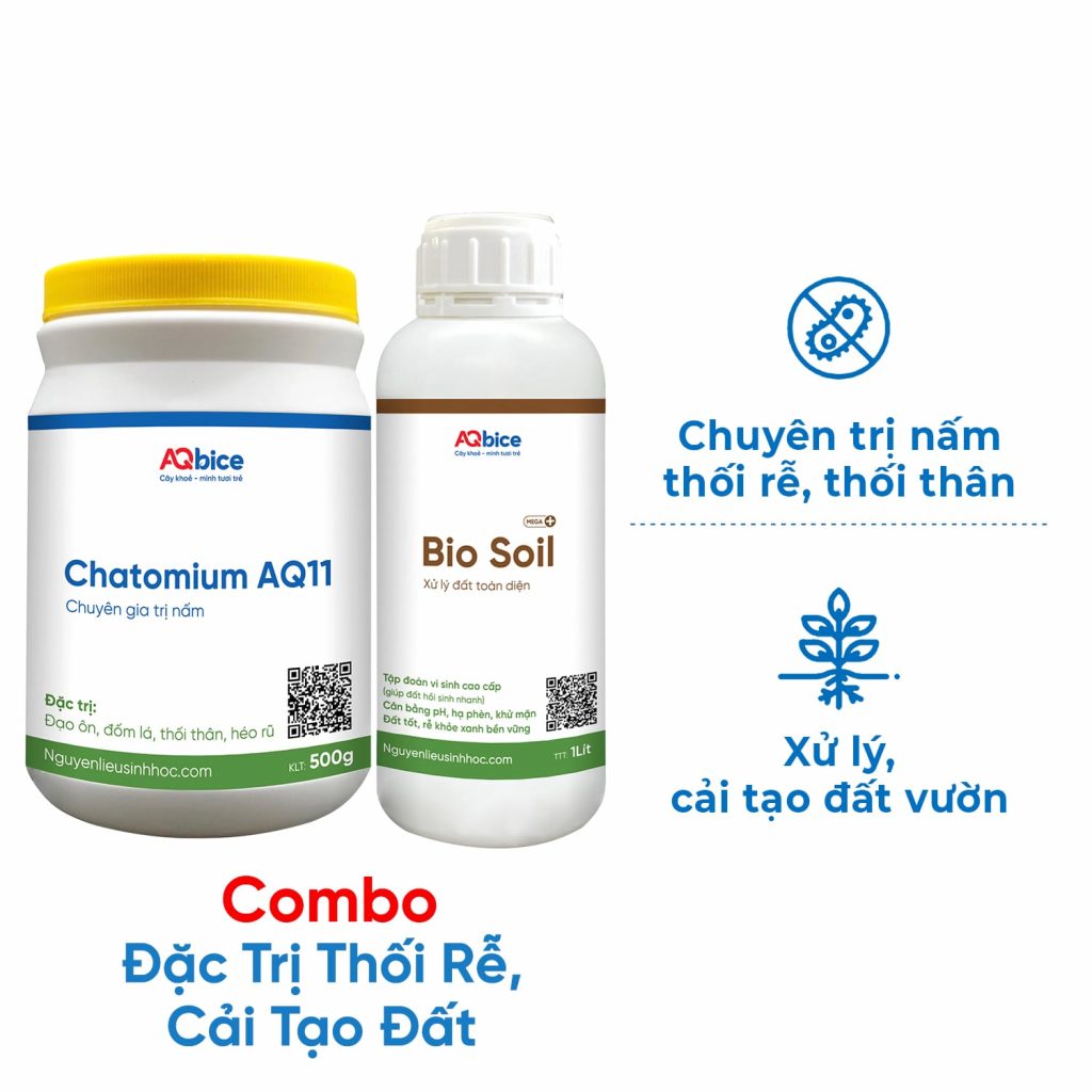 Thuốc đặc trị bệnh thối rễ dứt điểm, cây xanh tốt, đất tơi xốp