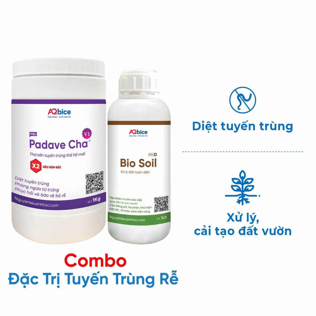 Cách trị tuyến trùng rễ dứt điểm, phục hồi đất vườn tơi xốp