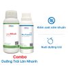 Phy FusaCo + Mfruit: Combo dưỡng trái lớn nhanh, sạch nấm bệnh 1 Sử dụng thuốc siêu to trái giúp trái ra nặng ký, bóng đẹp