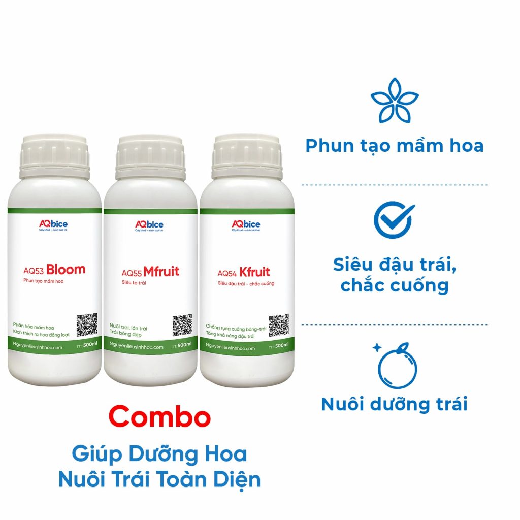 Thuốc kích ra hoa đậu quả giúp ra bông đồng loạt, trái đẹp