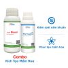 Combo thuốc kích mầm hoa và phòng trừ nấm bệnh hiệu quả