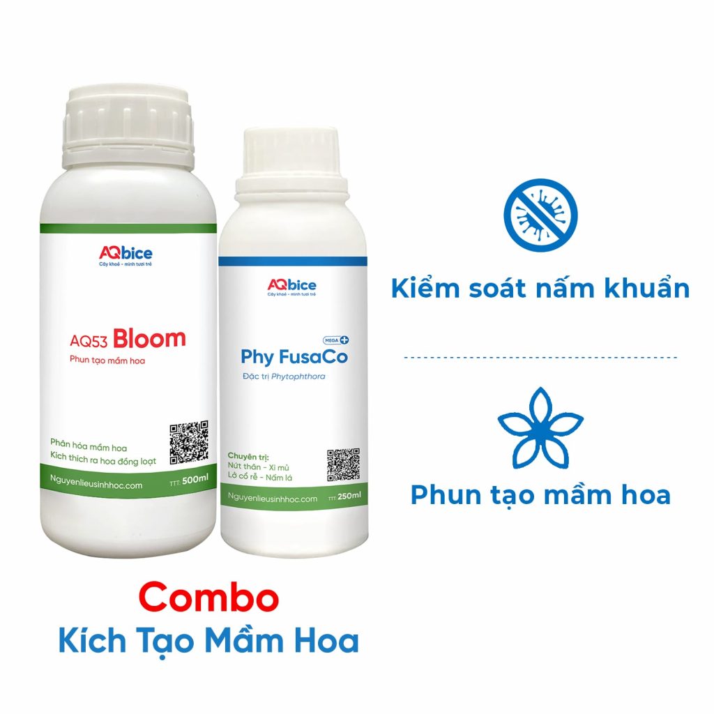 Combo thuốc kích mầm hoa và phòng trừ nấm bệnh hiệu quả