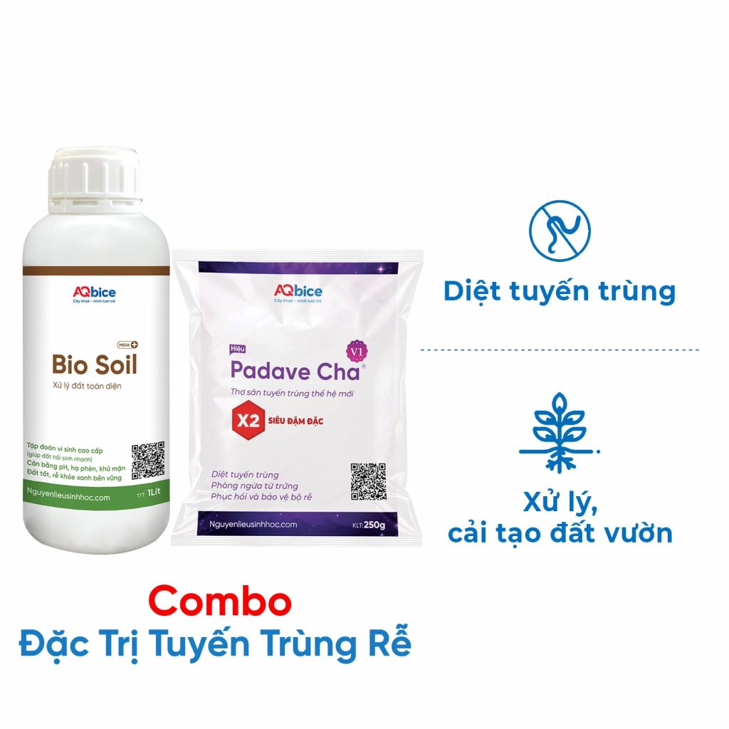 Padave Cha V1 + Bio Soil: Bộ đôi đặc trị tuyến trùng rễ, cải tạo đất vườn 1 Cách trị tuyến trùng rễ dứt điểm, phục hồi đất vườn tơi xốp