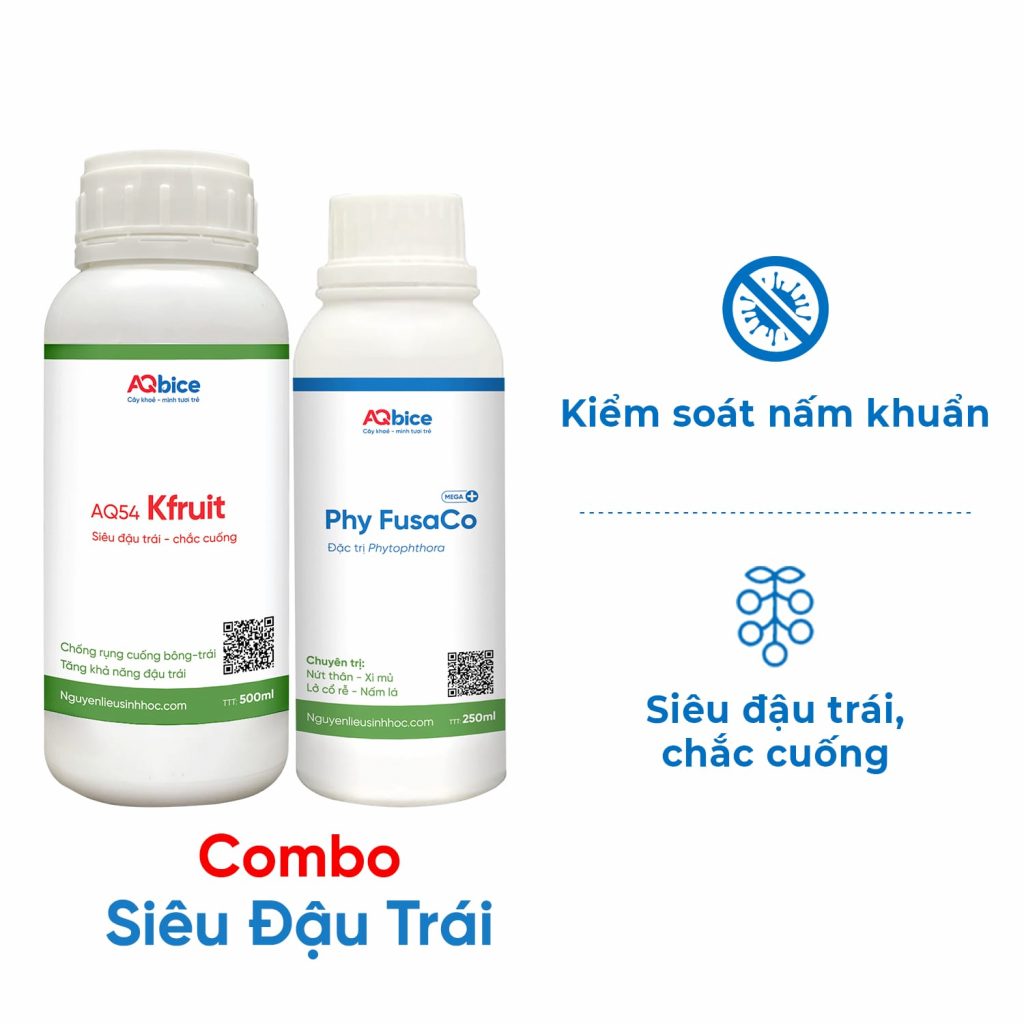 Dùng thuốc siêu đậu trái đúng cách giúp chống rụng trái non
