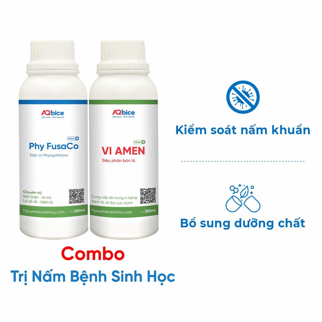 Thuốc trừ nấm bệnh sinh học giúp cây sạch bệnh, phục hồi tốt