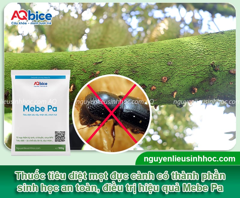 Thuốc đặc trị mọt đục cành: Giải pháp hiệu quả cho cây trồng
